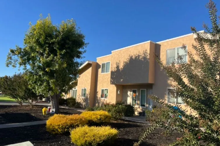 Completed tan stucco exterior with fresh landscaping in afternoon light (after)
